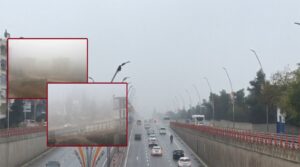 Urfa’da sabah saatlerinde yoğun sis