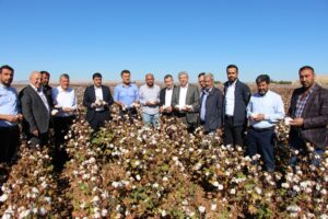 Chp heyeti Şanlıurfa’da pamuk üreticileri için sahada