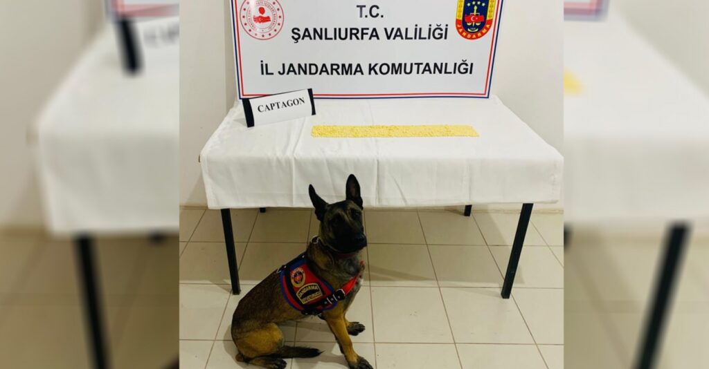 Akçakale’de narkotik köpeği uyuşturucuya geçit vermedi