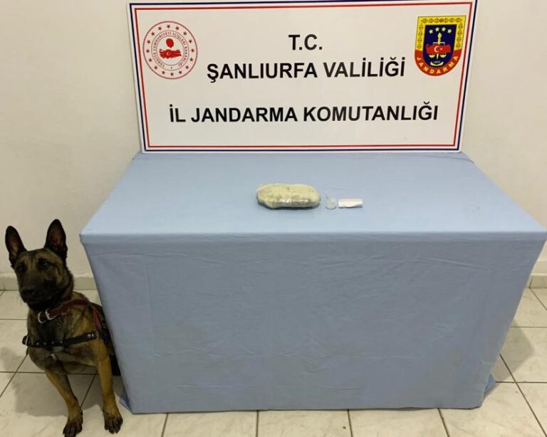 Jandarmadan Şanlıurfa’nın iki ilçesine operasyon!
