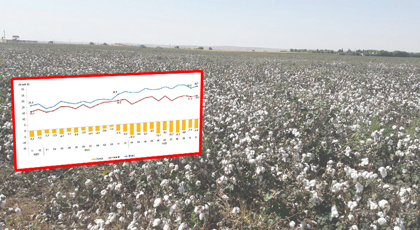 Şanlıurfa’nın ithalat ve ihracat verileri açıklandı