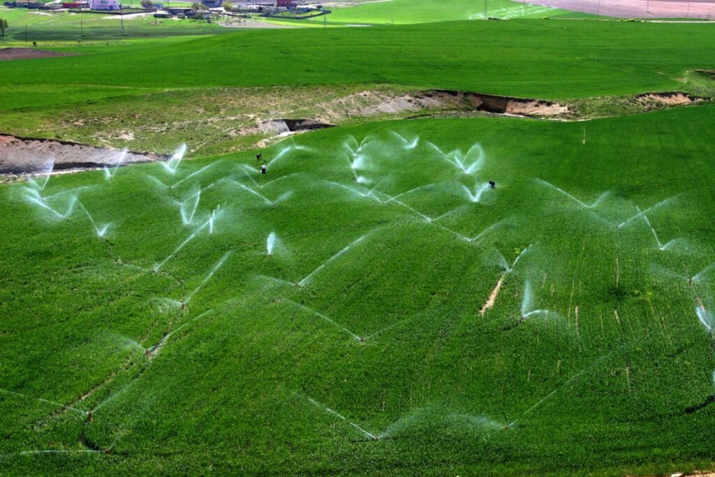 Tarım üretici enflasyonu rekor yineledi