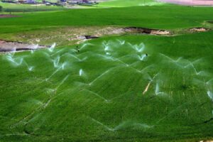 Tarım üretici enflasyonu rekor yineledi