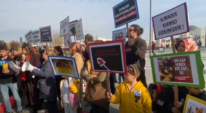 Şanlıurfa’da hayvanseverlerden sokak hayvanlarıyla ilgili açıklama