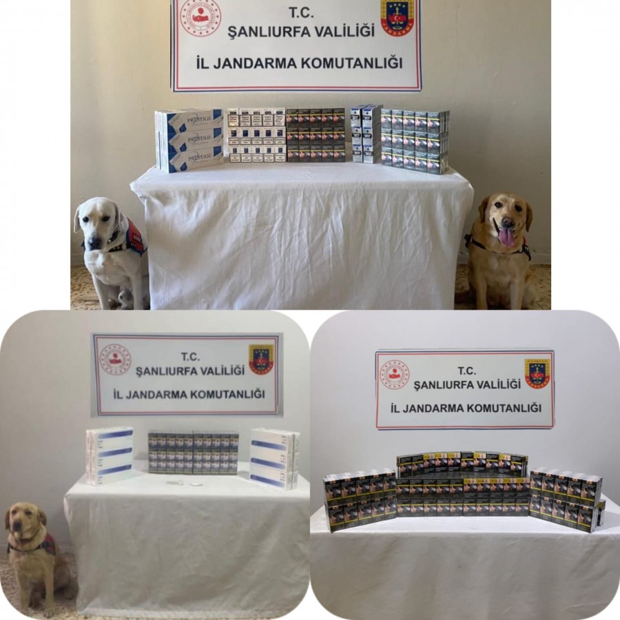 Viranşehir’de yol kontrolünde kaçak sigara ve uyuşturucu ele geçirildi