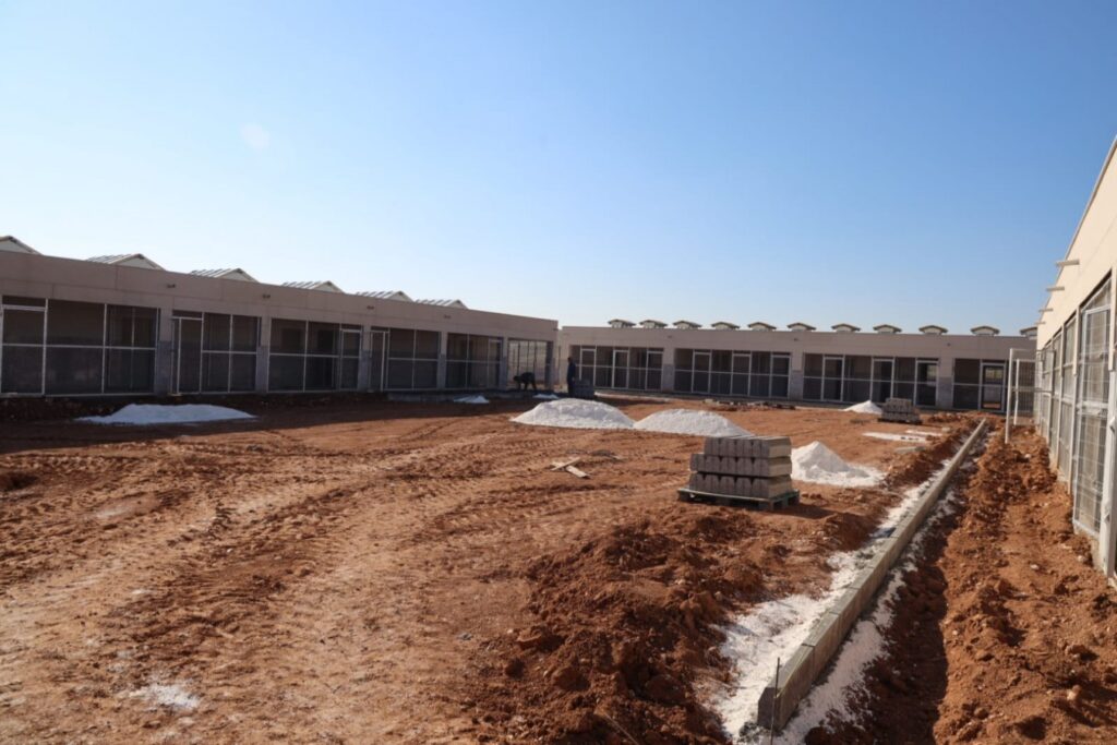 Beyazgül: Sokak hayvanlarımıza sıcak bir yuva daha kazandırıyoruz