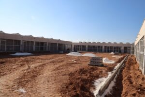 Beyazgül: Sokak hayvanlarımıza sıcak bir yuva daha kazandırıyoruz