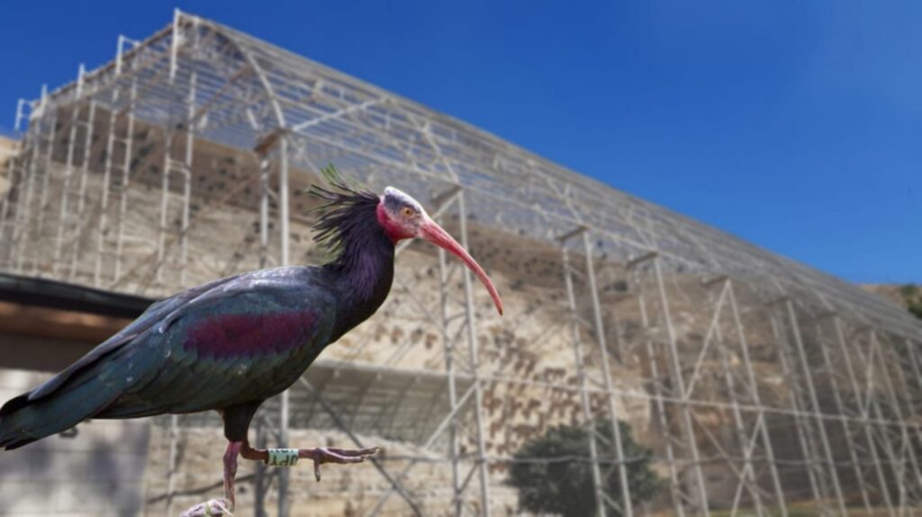 Birecik Kelaynak Üretme İstasyonu’nu kaç kişinin ziyaret ettiği belli oldu