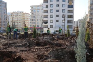 Karaköprü’de 9 bin metrekarelik parkta ağaçlandırma çalışmaları yapıldı