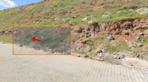 Nadir görülen çakal türü Karaköprü merkezinde görüntülendi