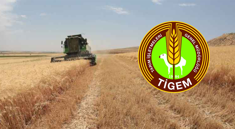 TİGEM’e 50 sözleşmeli personel alınacak