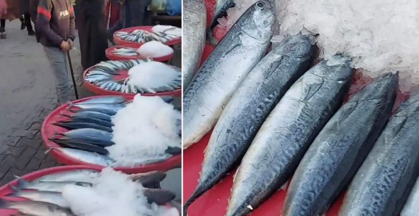 Urfa’da aldığınız balığa dikkat edin! Tezgahta palamut, evde tombik…