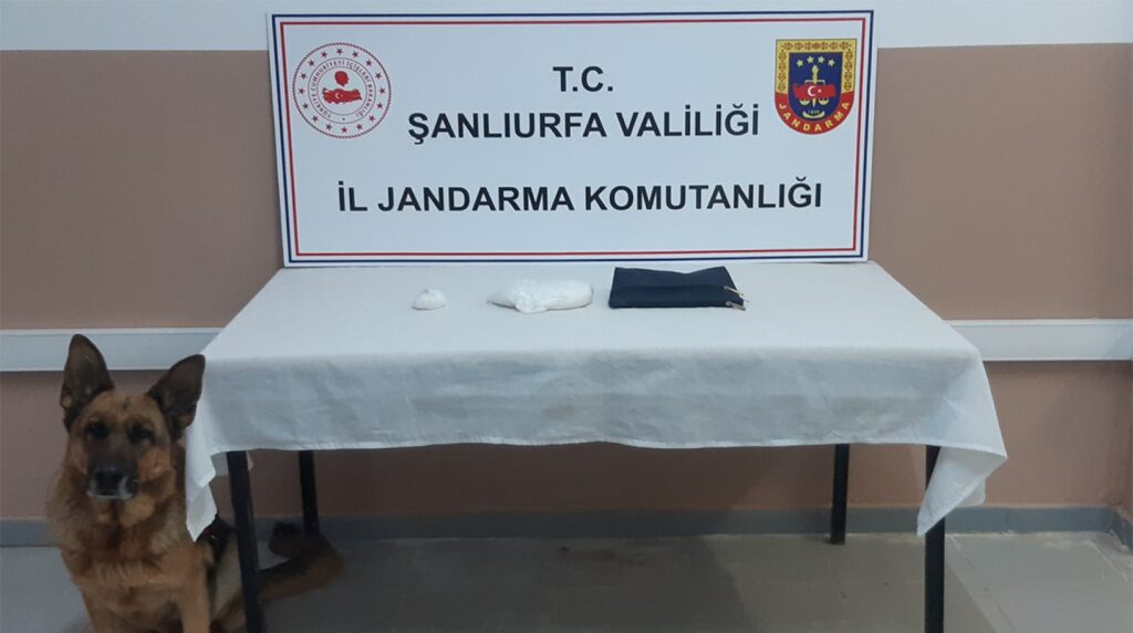 Urfa’da jandarma, yolcu otobüsünde uyuşturucu ele geçirdi