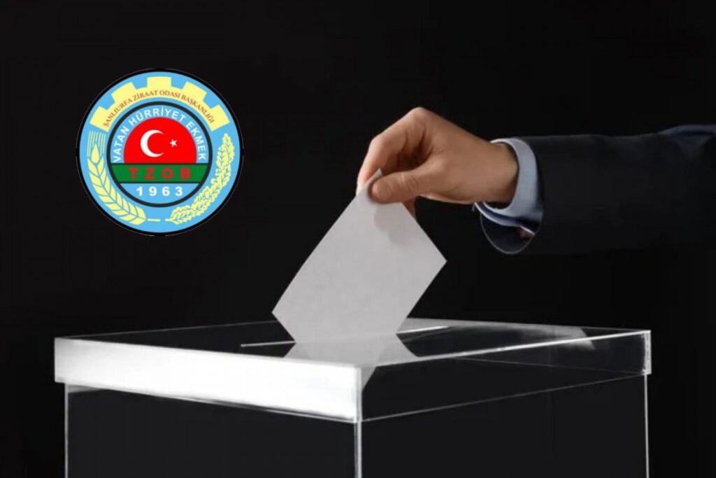 Şanlıurfa’nın 4 ilçesinde ziraat odası başkanlık seçimi yapıldı