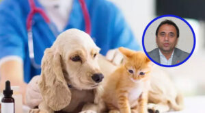 Felaketin görünmeyen yüzü: Depremden etkilenen hayvanlar