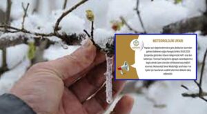 Harran Kaymakamlığı’ndan ‘zirai don’ uyarısı