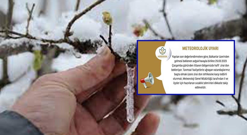 Harran Kaymakamlığı’ndan ‘zirai don’ uyarısı