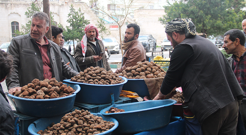 Şanlıurfa’da Keme fiyatı dudak uçuklatıyor