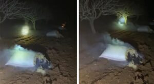 Şanlıurfa’da çiftçiden zirai dona karşı ilginç koruma