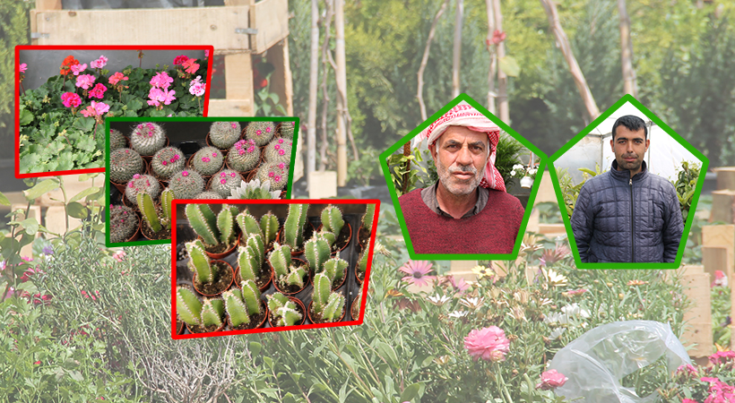 Şanlıurfa’da Deprem ve selden sonra şimdi de don korkusu