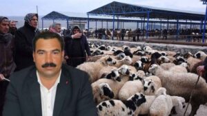 Şanlıurfa’da hayvan pazarı yeniden açılıyor