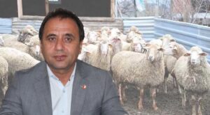 Şanlıurfa’da şap hastalığı yok