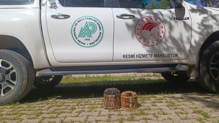 Şanlıurfa’da usulsüz avlanan 1 kişiye idari işlem