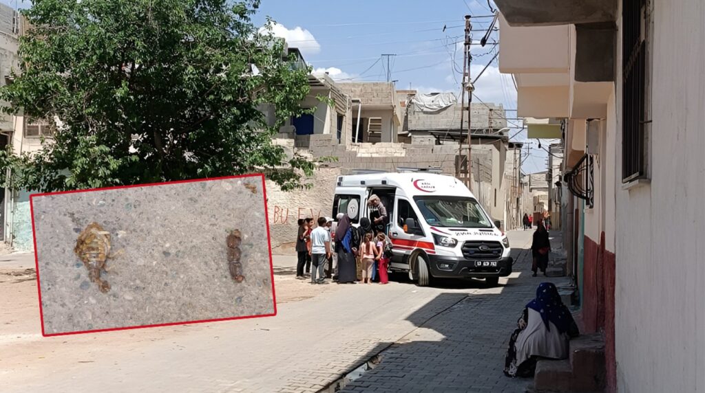 Şanlıurfa’da Akrebin soktuğu çocuk hastaneye kaldırıldı