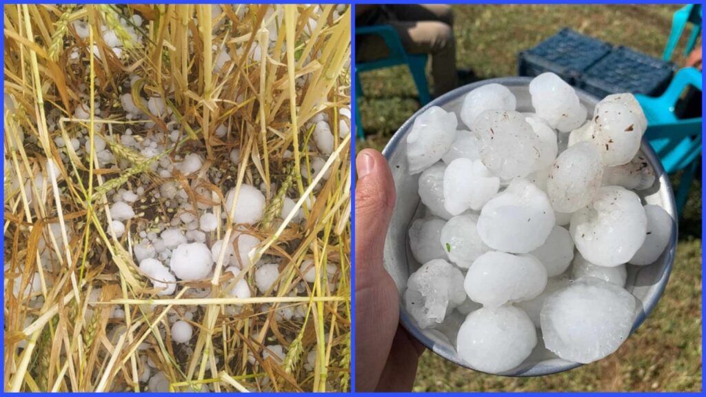Kaymakamlıktan Siverekli çiftçilere çağrı: Hasar tespiti başladı…