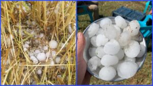 Başkan Çakmak Siverek’teki dolu yağışıyla ilgili açıklamada bulundu