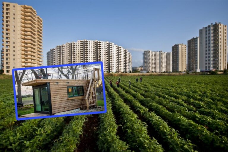 Şanlıurfa’da beton döküp kat üstüne kat dikiliyor