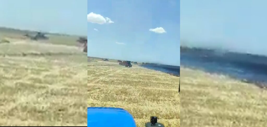 Siverek’te büyük yangın! Yüzlerce dönüm küle döndü