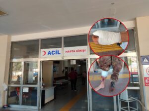 Şanlıurfa’da acemi kasaplar hastanelik oldu