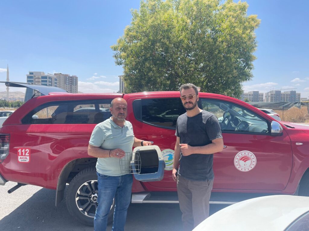 Şanlıurfa’da bitkin halde bulunan leş kargaları tedaviye alındı