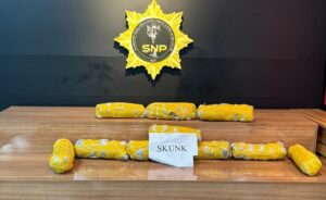 Şanlıurfa’da durdurulan araçtan uyuşturucu çıktı