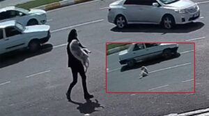 Şanlıurfa’da yolun karşısına geçemeyen yaralı hayvanın yardımına polisler yetişti