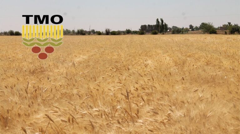 Şanlıurfa’da TMO randevuları yarın açılıyor
