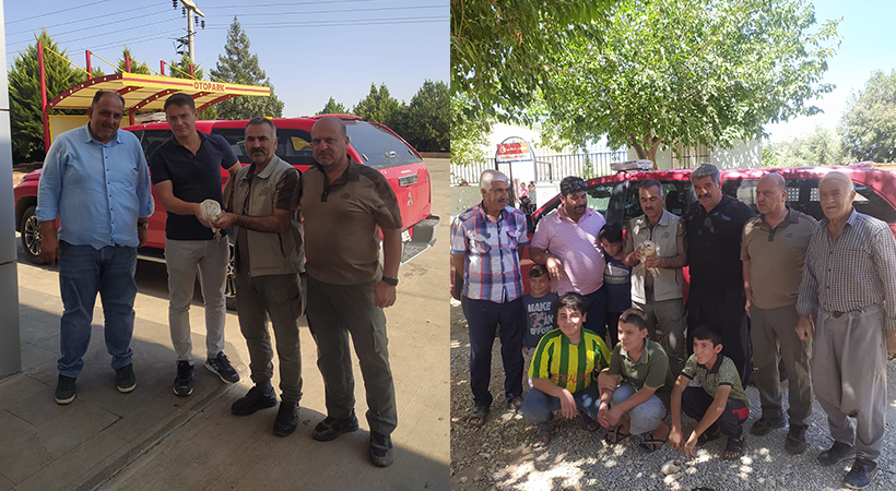 Şanlıurfa’da Bitkin halde bulunan baykuşlar tedavi altına alındı