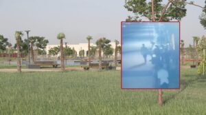 Eyyübiye Millet Bahçesi’ndeki ağacı ateşe verdi