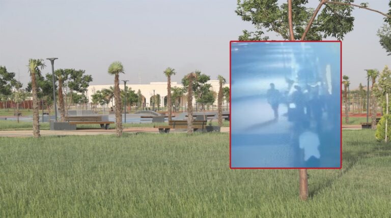 Eyyübiye Millet Bahçesi’ndeki ağacı ateşe verdi