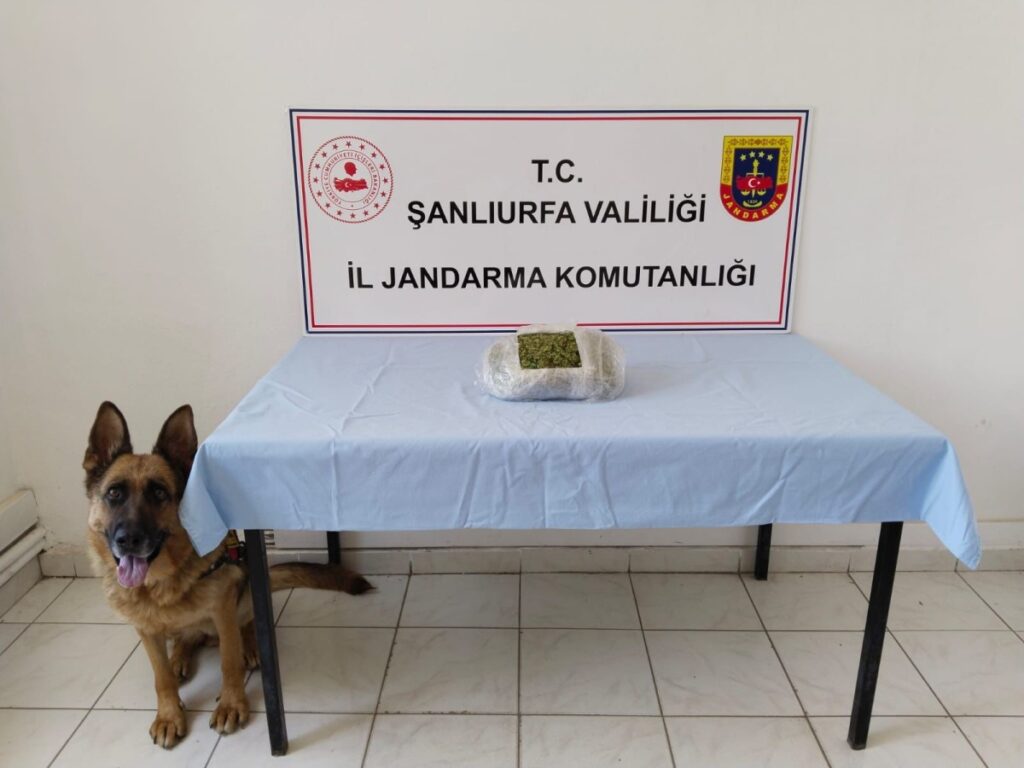 Şanlıurfa’da uyuşturucu operasyonu: 5 gözaltı