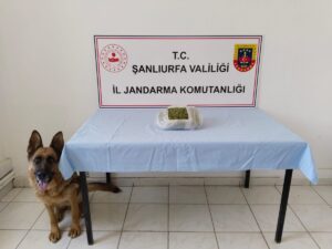 Şanlıurfa’da uyuşturucu operasyonu: 5 gözaltı