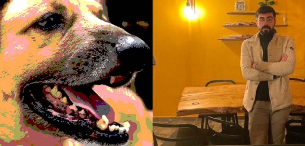 Siverek Kaymakamlığı’ndan kuduz vakası ile ilgili açıklama!