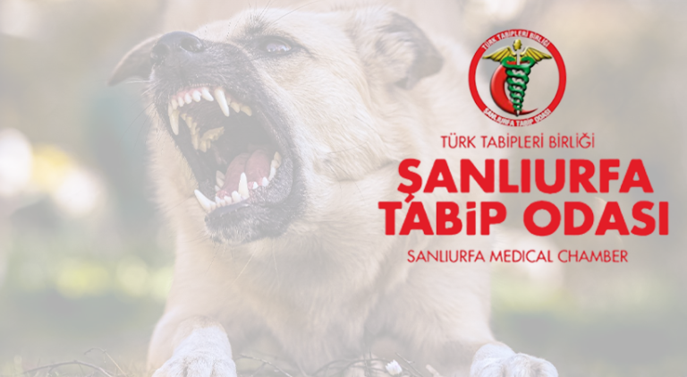 Tabip Odası Şanlıurfa’da kuduz vakalarına ilişkin açıklama yaptı