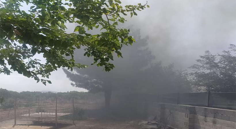 Şanlıurfa’da bir köyde çıkan yangın her tarafa yayıldı