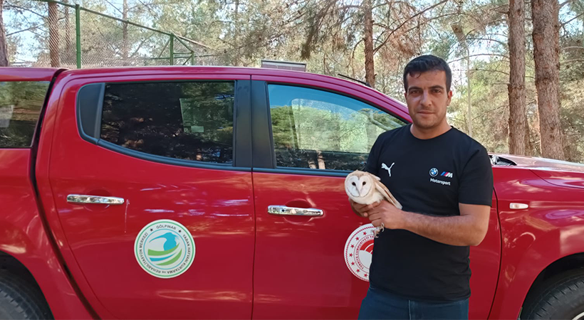 Şanlıurfa’da bitkin halde bulunan baykuş tedavi altına alındı