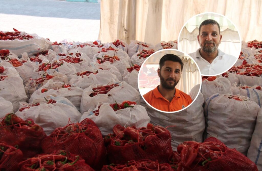 Şanlıurfa’da biber fiyatları cep yakıyor