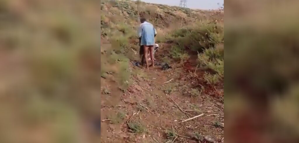 Sosyal medyada Ceylanpınar’daki köpek tecavüzcüsüne tepki yağıyor!