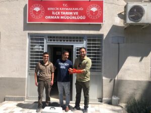 Şanlıurfa’da yaralı halde bulunan arı kuşu tedaviye alındı