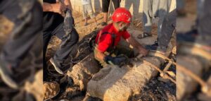 Şanlıurfa’da Kuyuya düşen kediyi itfaiye kurtardı